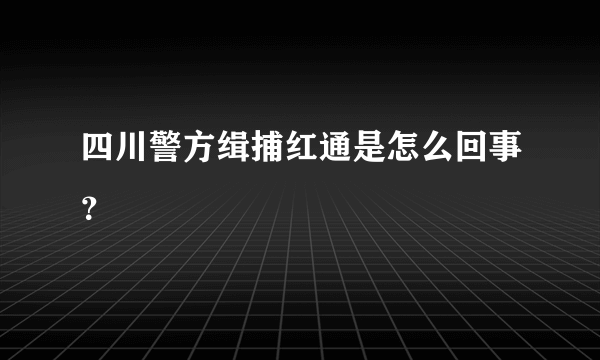 四川警方缉捕红通是怎么回事？