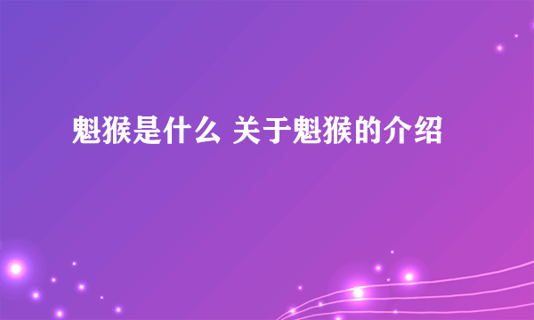 魁猴是什么 关于魁猴的介绍