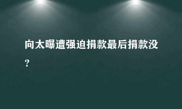 向太曝遭强迫捐款最后捐款没？