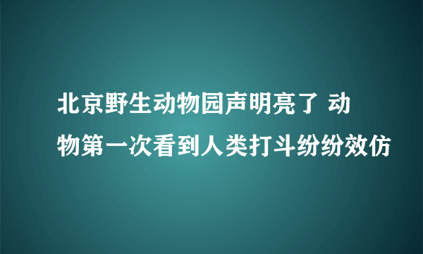 北京野生动物园声明亮了 动物第一次看到人类打斗纷纷效仿