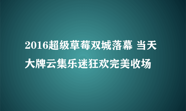 2016超级草莓双城落幕 当天大牌云集乐迷狂欢完美收场