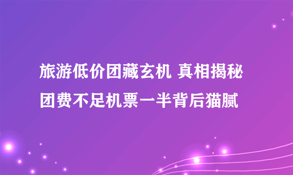 旅游低价团藏玄机 真相揭秘团费不足机票一半背后猫腻