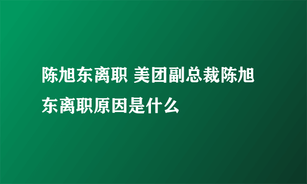 陈旭东离职 美团副总裁陈旭东离职原因是什么