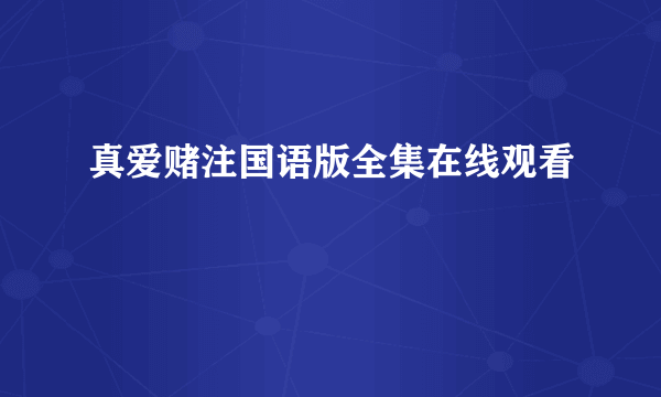 真爱赌注国语版全集在线观看