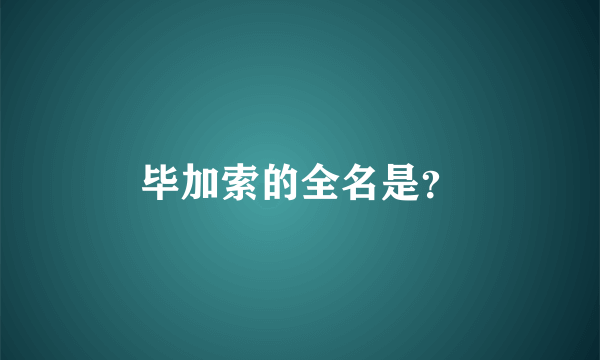 毕加索的全名是？