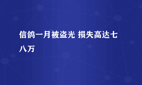 信鸽一月被盗光 损失高达七八万