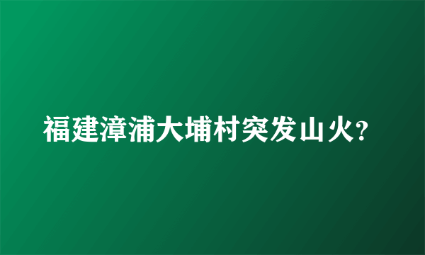 福建漳浦大埔村突发山火？