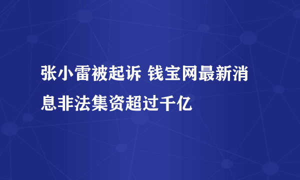 张小雷被起诉 钱宝网最新消息非法集资超过千亿