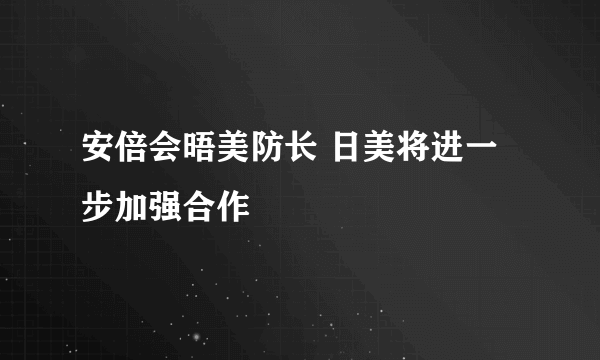 安倍会晤美防长 日美将进一步加强合作