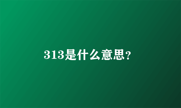 313是什么意思？