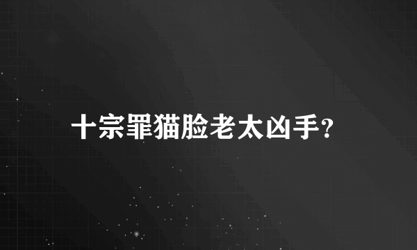 十宗罪猫脸老太凶手？