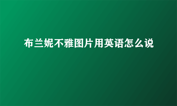 布兰妮不雅图片用英语怎么说