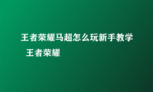 王者荣耀马超怎么玩新手教学  王者荣耀