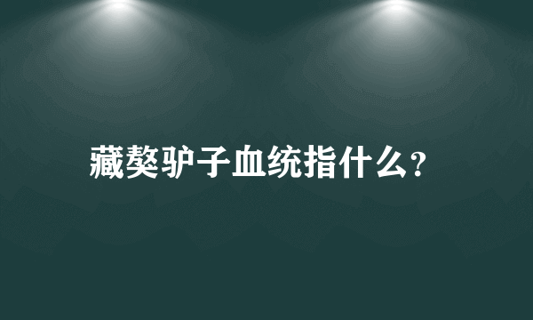 藏獒驴子血统指什么？