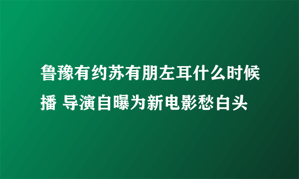 鲁豫有约苏有朋左耳什么时候播 导演自曝为新电影愁白头