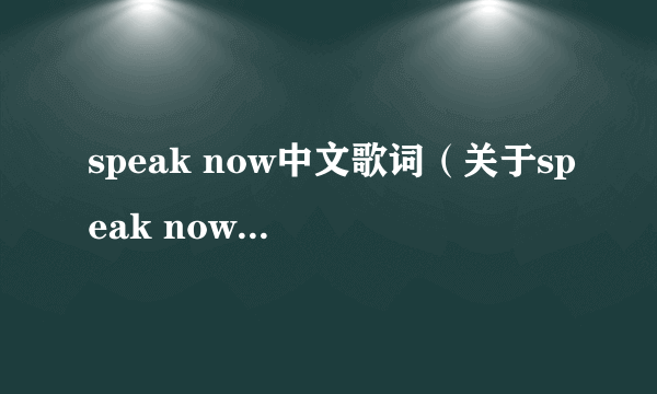 speak now中文歌词（关于speak now中文歌词的简介）