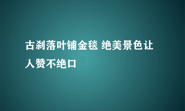 古刹落叶铺金毯 绝美景色让人赞不绝口