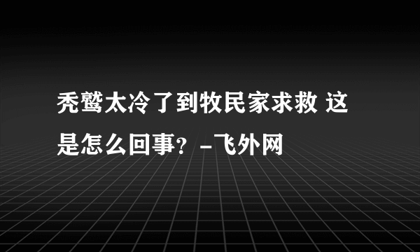 秃鹫太冷了到牧民家求救 这是怎么回事？-飞外网