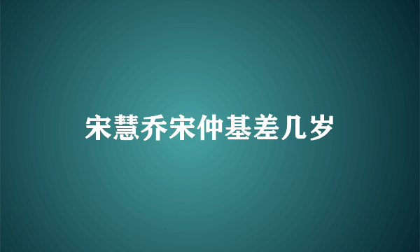 宋慧乔宋仲基差几岁