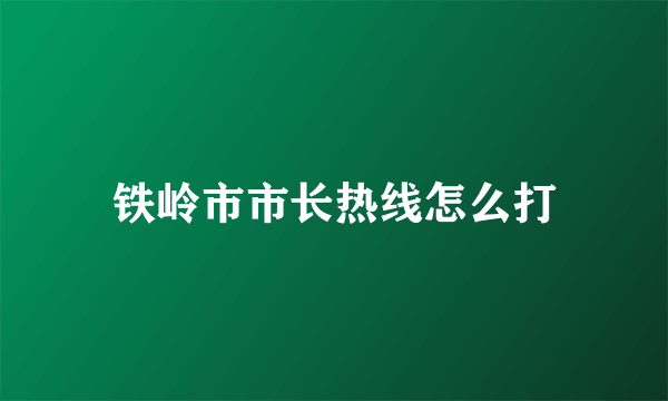 铁岭市市长热线怎么打