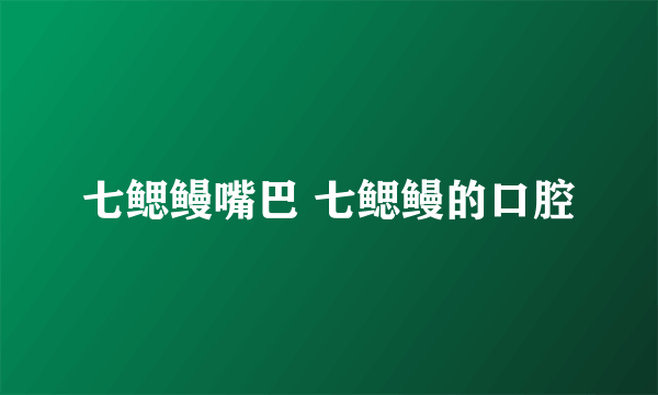 七鳃鳗嘴巴 七鳃鳗的口腔