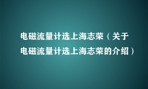 电磁流量计选上海志荣（关于电磁流量计选上海志荣的介绍）