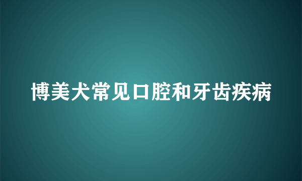 博美犬常见口腔和牙齿疾病