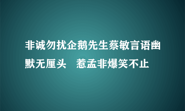 非诚勿扰企鹅先生蔡敏言语幽默无厘头   惹孟非爆笑不止