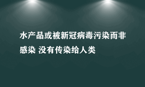 水产品或被新冠病毒污染而非感染 没有传染给人类