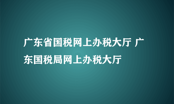 广东省国税网上办税大厅 广东国税局网上办税大厅