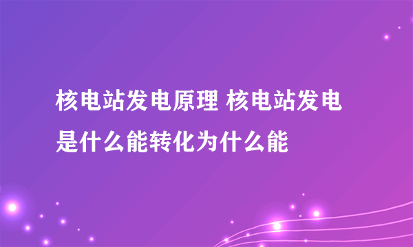 核电站发电原理 核电站发电是什么能转化为什么能