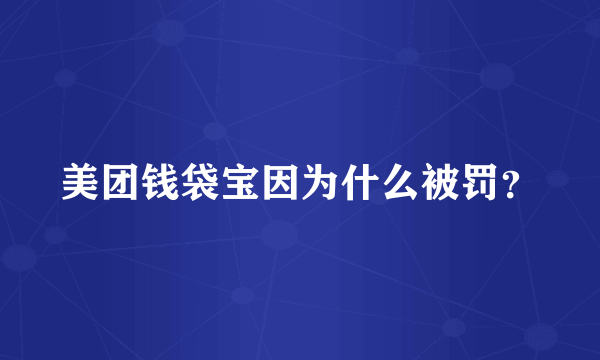 美团钱袋宝因为什么被罚？