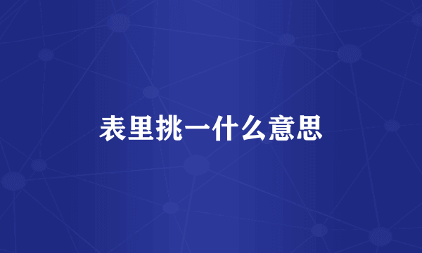 表里挑一什么意思