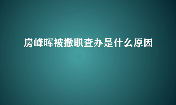 房峰晖被撒职查办是什么原因