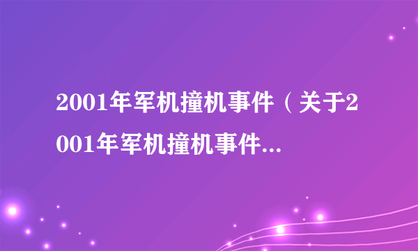 2001年军机撞机事件（关于2001年军机撞机事件的介绍）