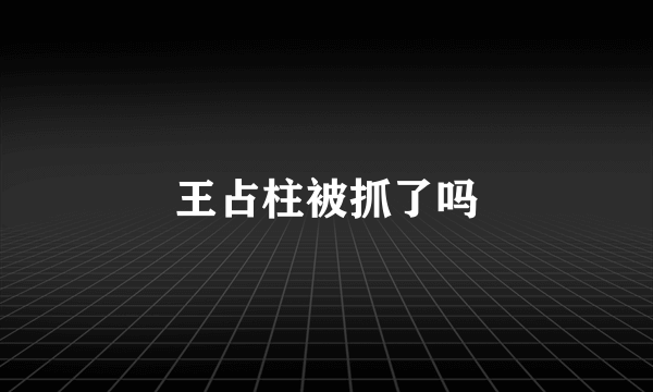 王占柱被抓了吗