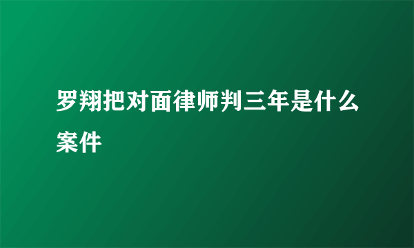 罗翔把对面律师判三年是什么案件