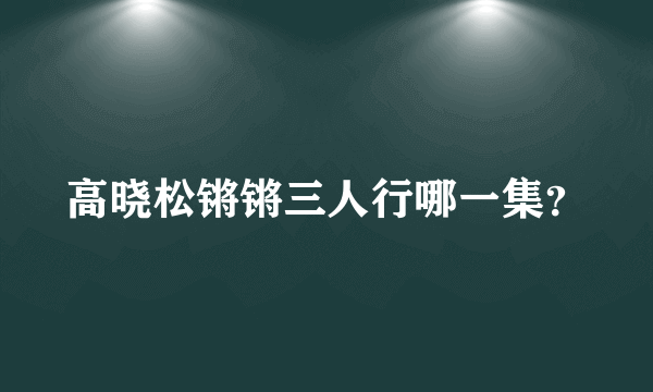 高晓松锵锵三人行哪一集？