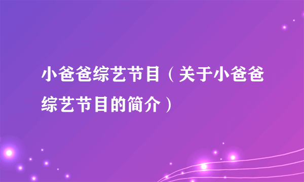 小爸爸综艺节目（关于小爸爸综艺节目的简介）