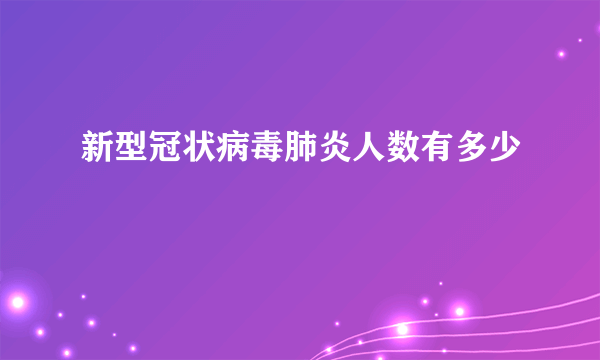 新型冠状病毒肺炎人数有多少