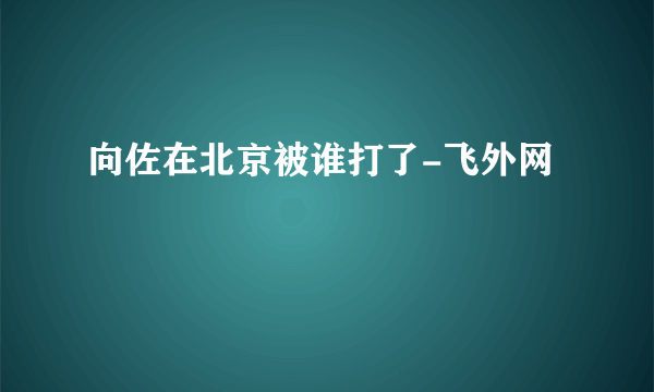 向佐在北京被谁打了-飞外网