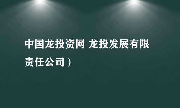 中国龙投资网 龙投发展有限责任公司）