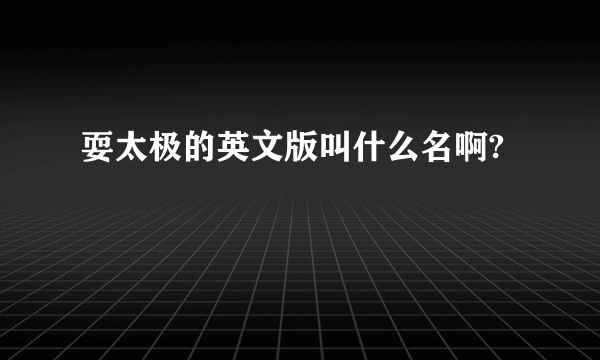 耍太极的英文版叫什么名啊?