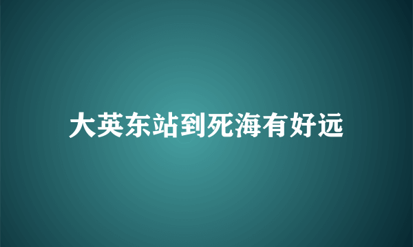 大英东站到死海有好远