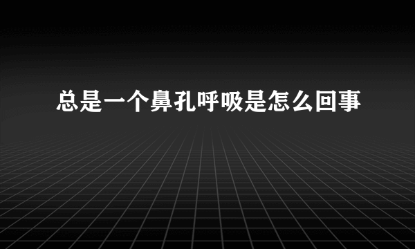 总是一个鼻孔呼吸是怎么回事