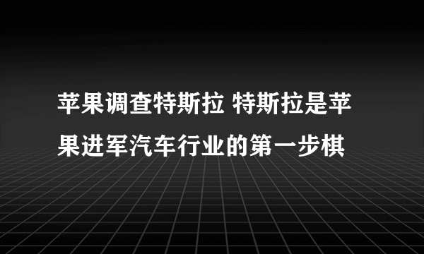 苹果调查特斯拉 特斯拉是苹果进军汽车行业的第一步棋