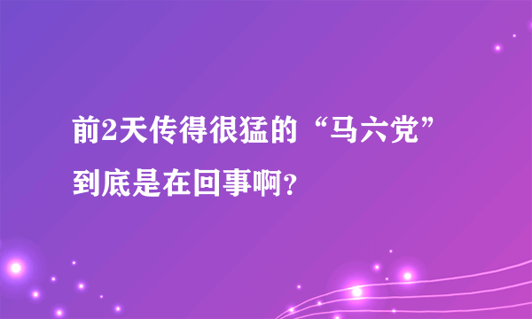 前2天传得很猛的“马六党”到底是在回事啊？