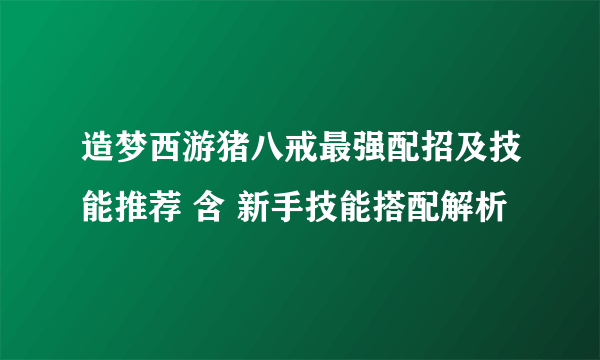 造梦西游猪八戒最强配招及技能推荐 含 新手技能搭配解析