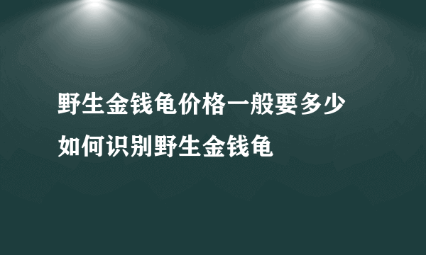 野生金钱龟价格一般要多少 如何识别野生金钱龟