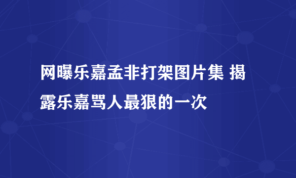 网曝乐嘉孟非打架图片集 揭露乐嘉骂人最狠的一次